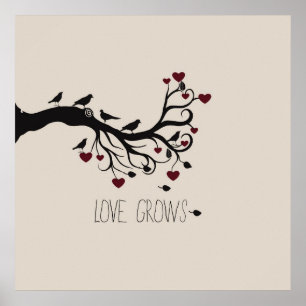 Love Grows Poster