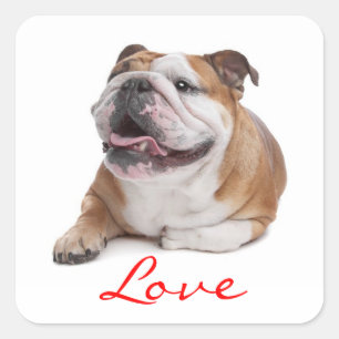 Love Happy Bulldog Puppy Dog Sticker