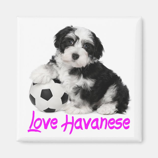 Love Havanese Puppy Dog Magnet (Front)