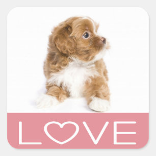 Love Havanese Puppy Dog Sticker