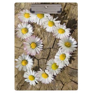 Love Heart Daisies Clipboard