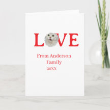 Love holidays cat photo pet family name bold lette