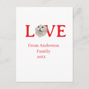 Love holidays cat photo pet family name bold lette holiday postcard