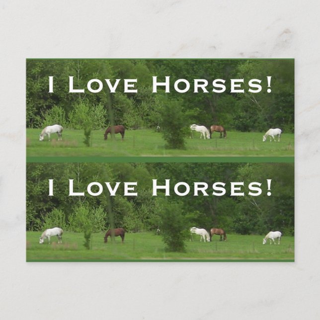 Love Horses! Bookmarkers - Customise! Postcard (Front)