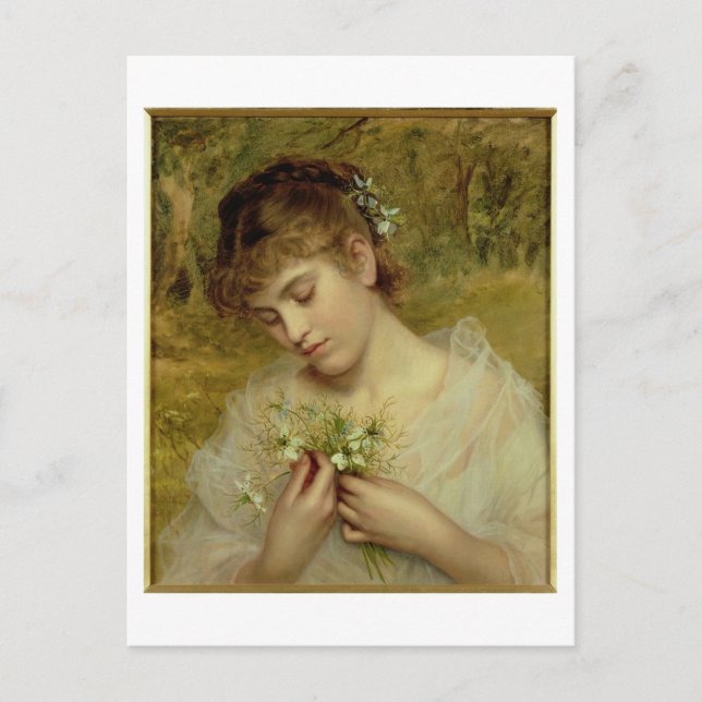 Love in a Mist (oil on canvas) Postcard (Front)