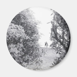 Love in a photo magnet