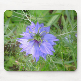 love in the mist flower mouse mat