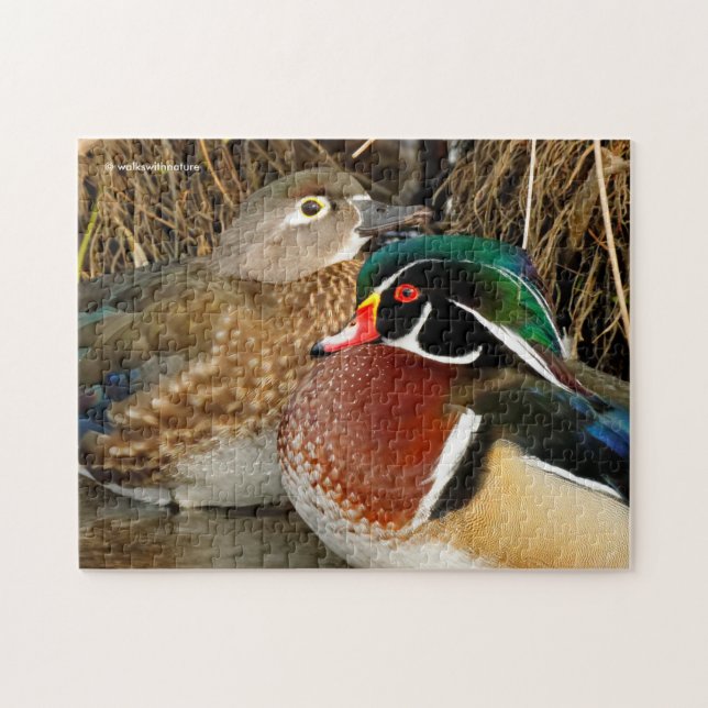 Love in the Reeds: A Pair of Wood Ducks Gets Cosy Jigsaw Puzzle (Horizontal)