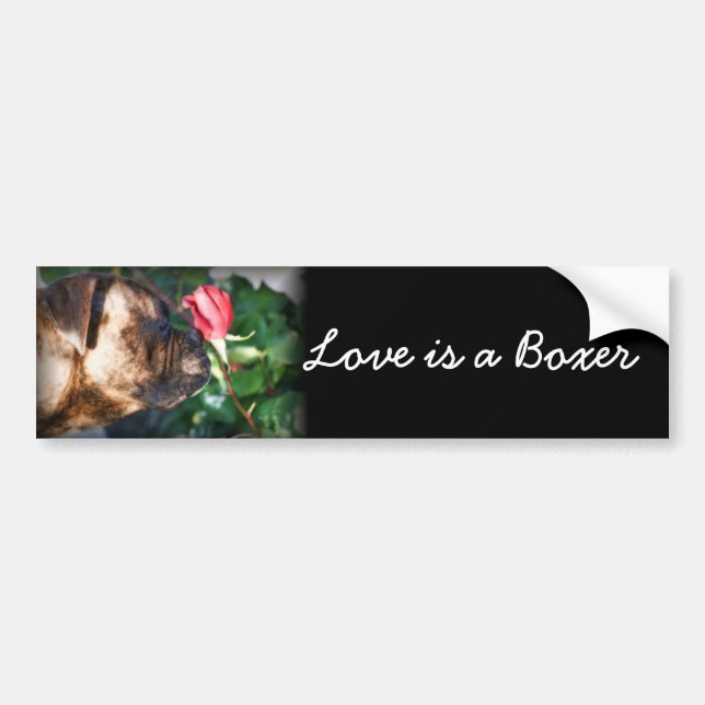 Love is a Boxer dog and rose bumper sticker (Front)
