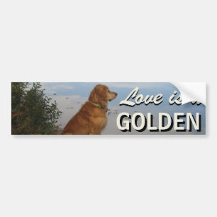 Love is a Golden Retriever Bumper Sticker