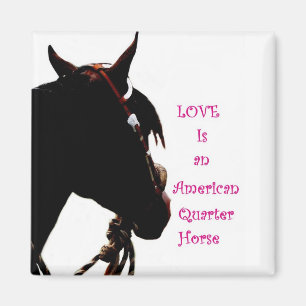 Love is a Quarter Horse magnet