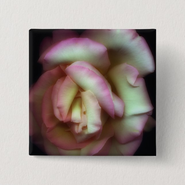 <Love is a Rose> by Nathan Griffith 15 Cm Square Badge (Front)