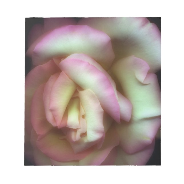 <Love is a Rose> by Nathan Griffith Notepad (Front)