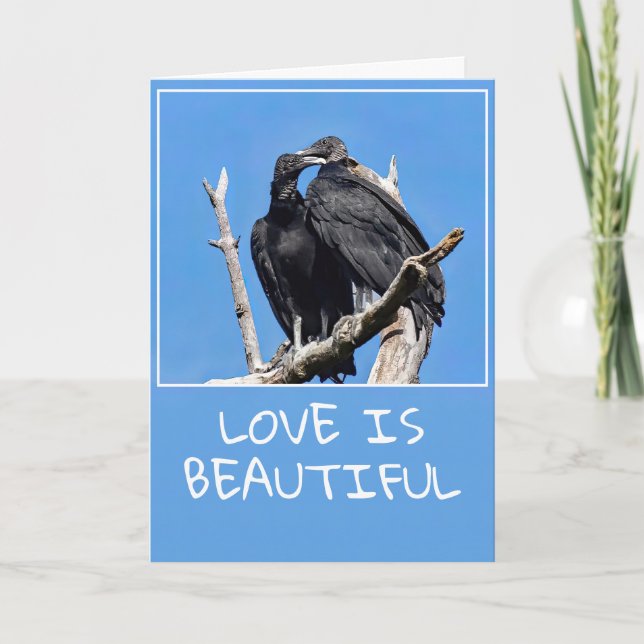  Love Is Beautiful Vultures  Folded Holiday Card (Front)