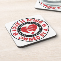 Love is being owned by a Cocker Spaniel