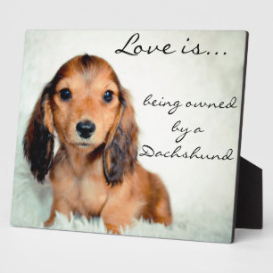 Love is being owned by a Dachshund-Pixel Plaque