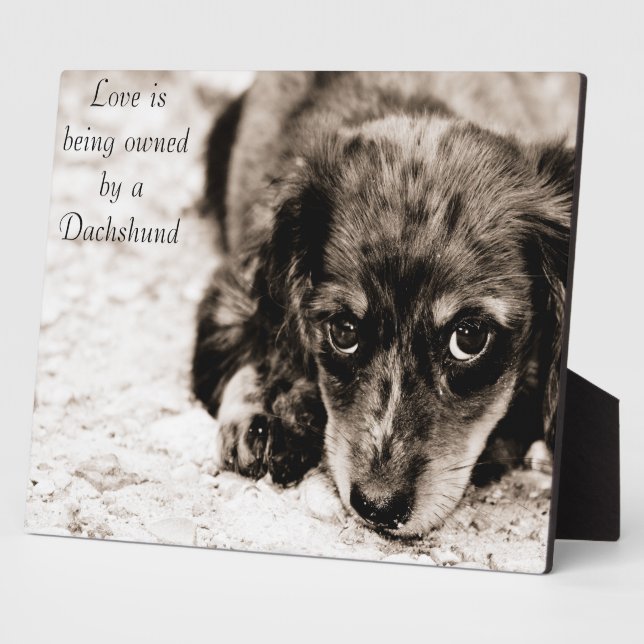Love is being owned by a Dachshund Plaque (Side)