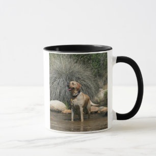Love is being owned by a Yellow Lab Mug