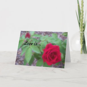 "Love Is" blank-inside notecard