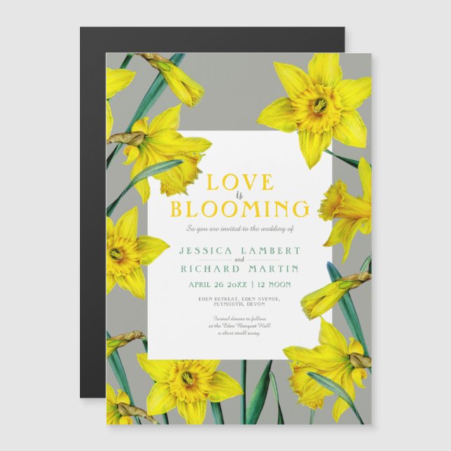 Love is blooming spring yellow daffodils wedding magnetic invitation (Front/Back)