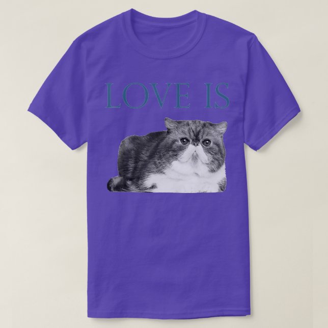 Love Is Exotic Shorthair Cat T-Shirt (Design Front)