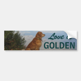 Love is Golden Bumper Sticker