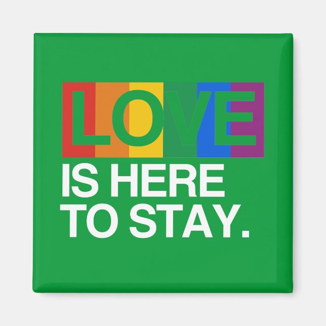LOVE IS HERE TO STAY -.png Magnet (Front)