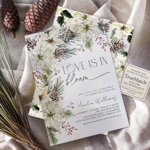 Love is in Bloom Winter Poinsettia Flowers Invitation