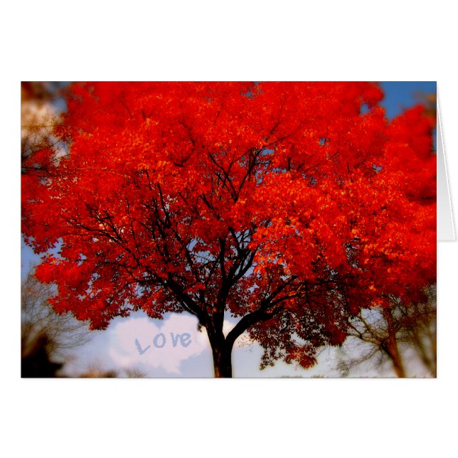 Love is in the air... (Front Horizontal)