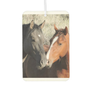 Love is in the Air Car Air Freshener
