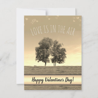 Love is in the Air (customisable) Holiday Card
