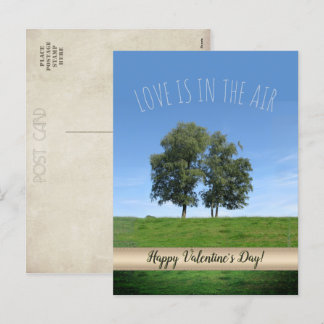 Love is in the Air (customisable) Holiday Postcard