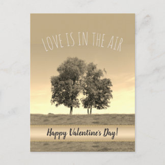 Love is in the Air (customisable) Holiday Postcard
