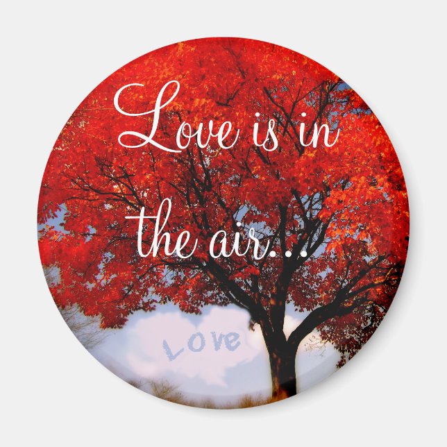 Love is in the air... magnet (Front)