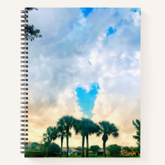 love is in the air notebook