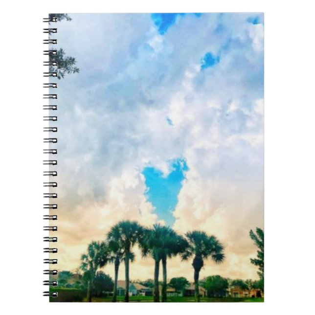 Love is in the air notebook (Front)