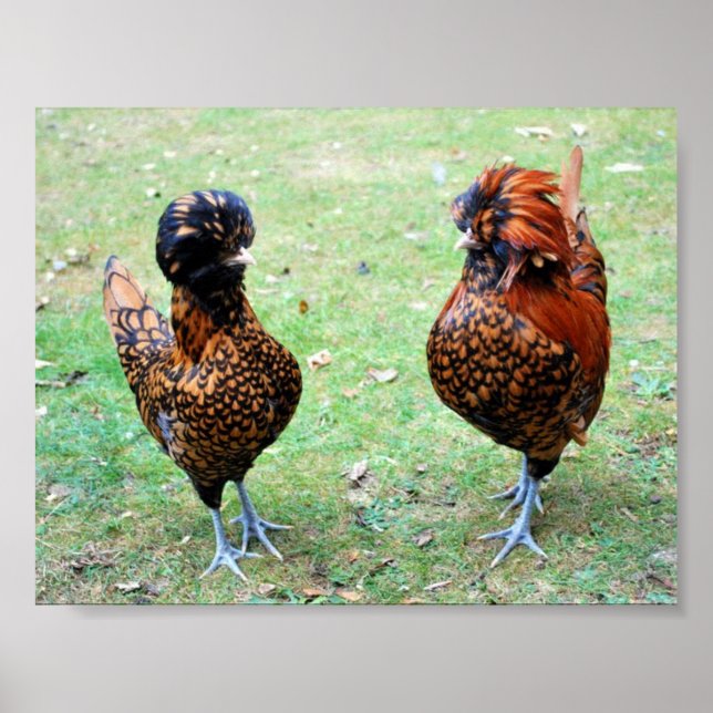 Love is in the Air Poster (Front)