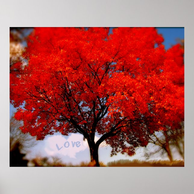 Love is in the Air Poster (Front)