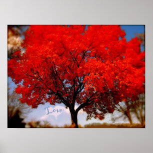 Love is in the Air Poster