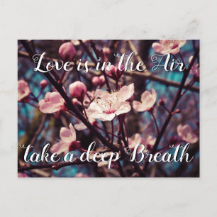 Love is in the Air take a deep Breath    Spring Holiday Postcard