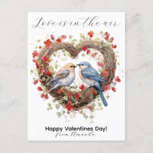 Love Is In The Air Valentines Cute Birds Holiday Postcard