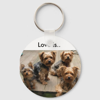 Love is.. key ring