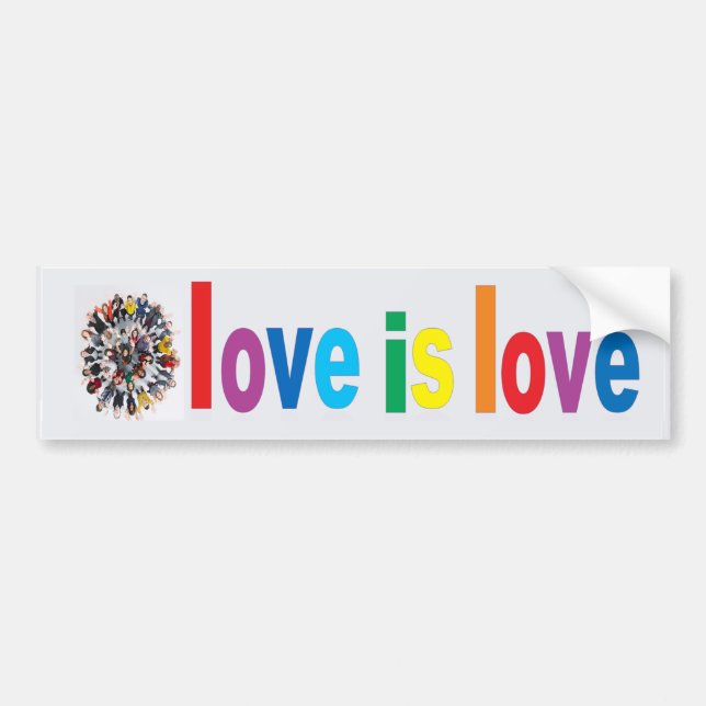 Love Is Love  Bumper Sticker (Front)