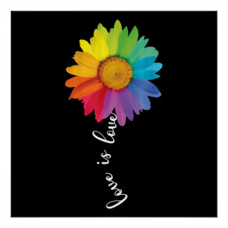 Love Is Love Rainbow Sunflower Gay Lesbian LGBT Poster