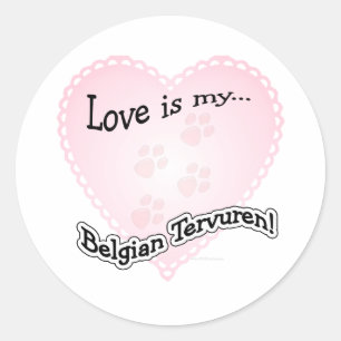 Love is My Belgian Tervuren - Sticker