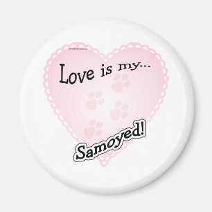 Love is My Samoyed - Magnet