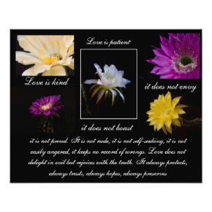 Love is Patient, Love is kind Cactus flower style Photo Print