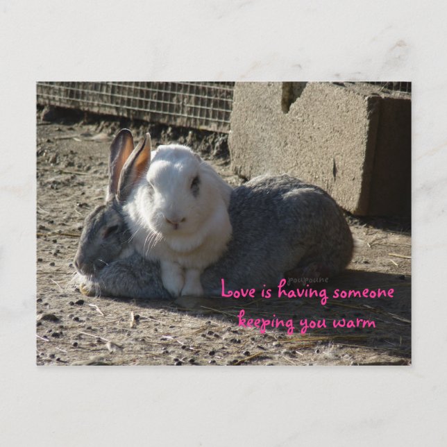 love is ... postcard (Front)