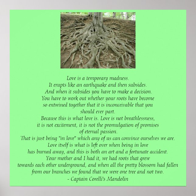 Love Is.. Poster (Front)