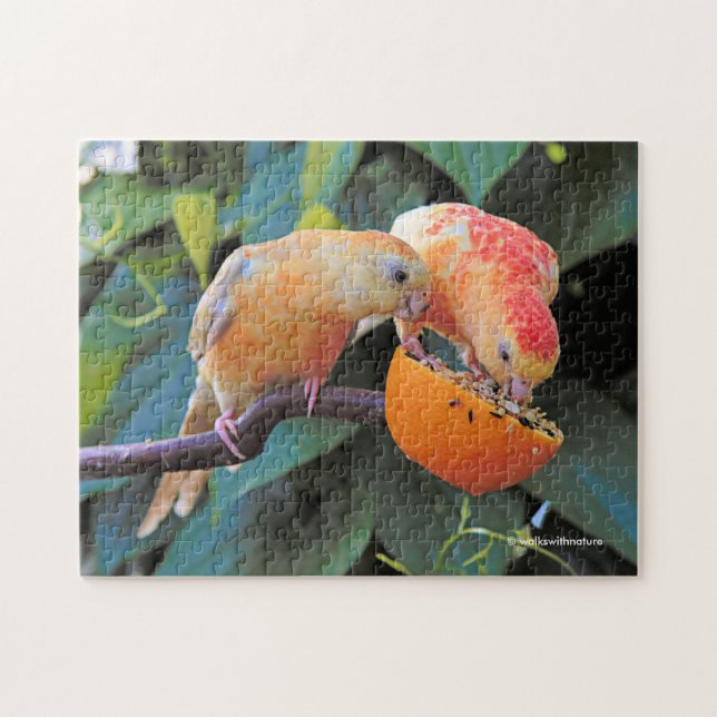 Love is Sharing: Yellow Turquoisine Parakeets Jigsaw Puzzle (Horizontal)